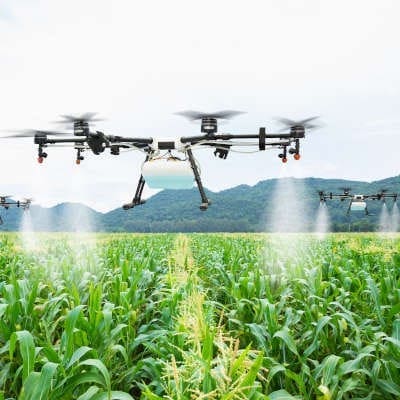 Drone being used to spray crops, flying over a field